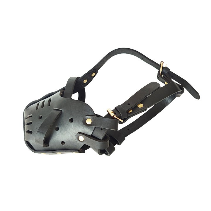 German Shepherd Muzzle