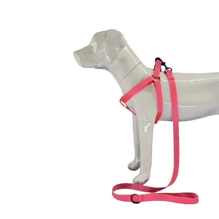 Hot Pink Dog λουρί