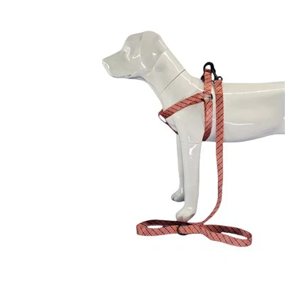 Γεωμετρικό λουρί σκύλου