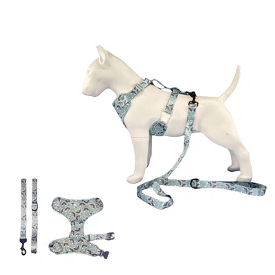 Εξατομικευμένο λουρί σκύλου