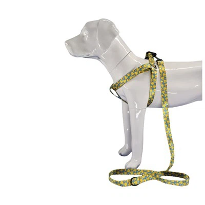 Λαστιχένια ζώνη για σκύλους πάπιας